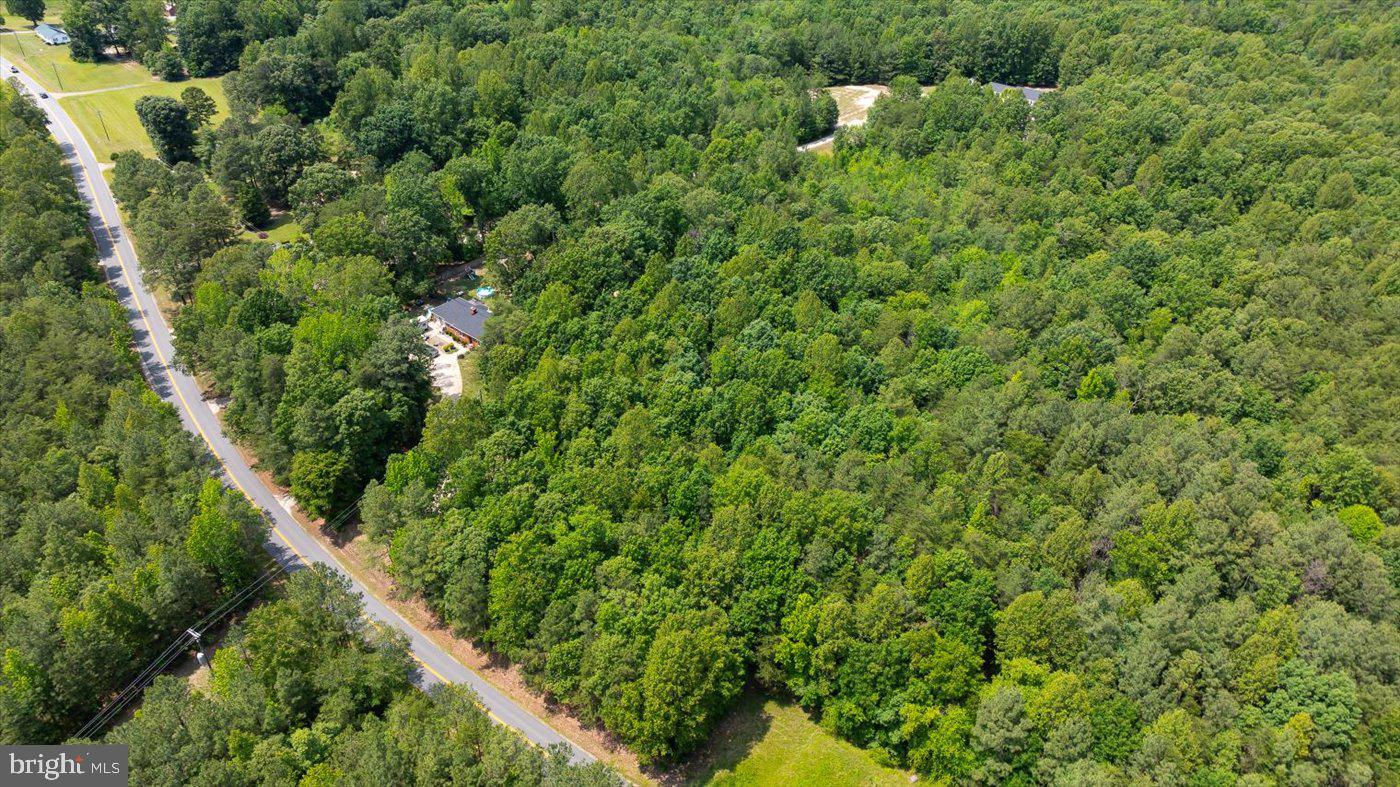 Lot 2 Golansville Road Ruther Glen, VA 22546 - Photo 7 of 7