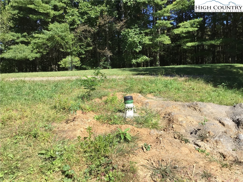 Belle Hollor Road Jefferson, NC 28640 - Photo 2 of 7 Gallery Image 2
