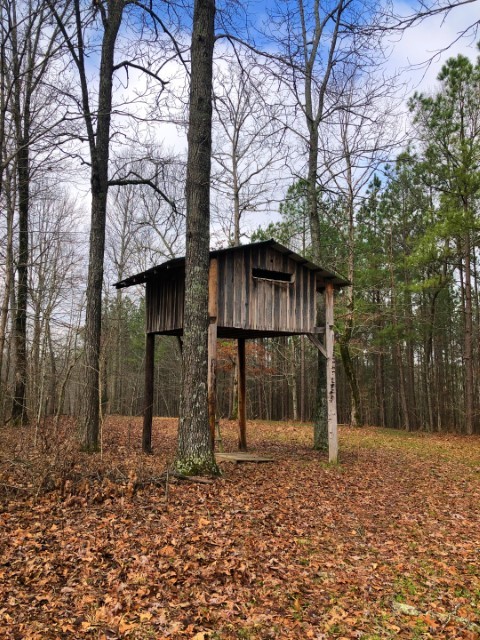 1001 Powdermill Br Road Summertown, TN 38483 - Photo 15 of 50 Gallery Image 15