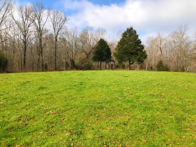 1001 Powdermill Br Road Summertown, TN 38483 - Photo 6 of 50 Gallery Image 6