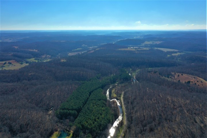 1001 Powdermill Br Road Summertown, TN 38483 - Photo 7 of 50 Gallery Image 7