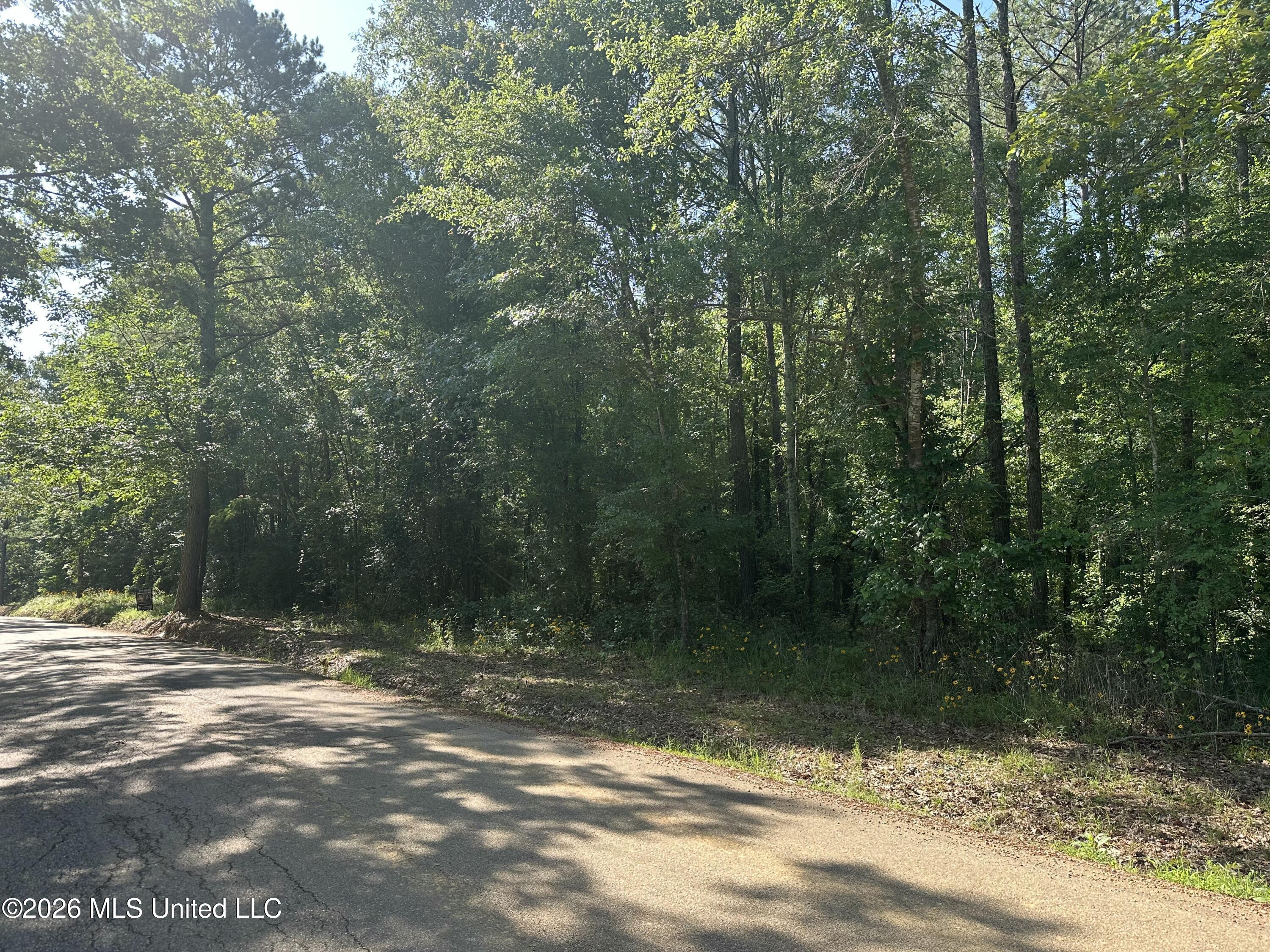 J C Prestage Road Pelahatchie, MS 39145 - Photo 1 of 24 1E9DF4A3-BB82-476B-A916-91CF1BE534CC