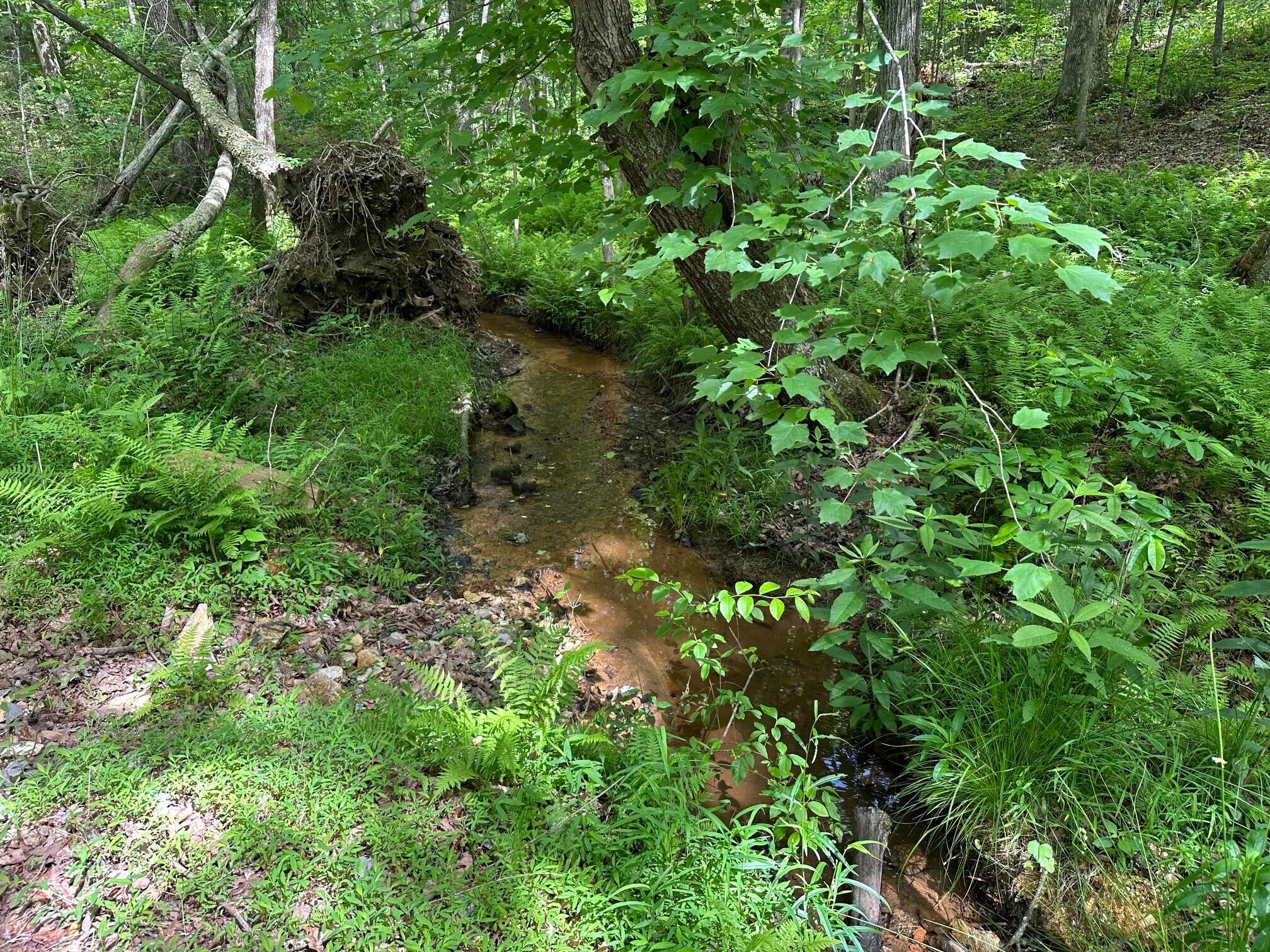 5201 Highway 150 Jasper, TN 37347 - Photo 12 of 21 16