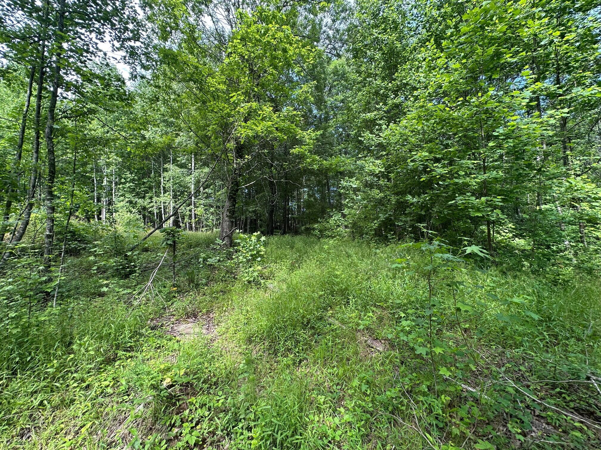 5201 Highway 150 Jasper, TN 37347 - Photo 13 of 21 4