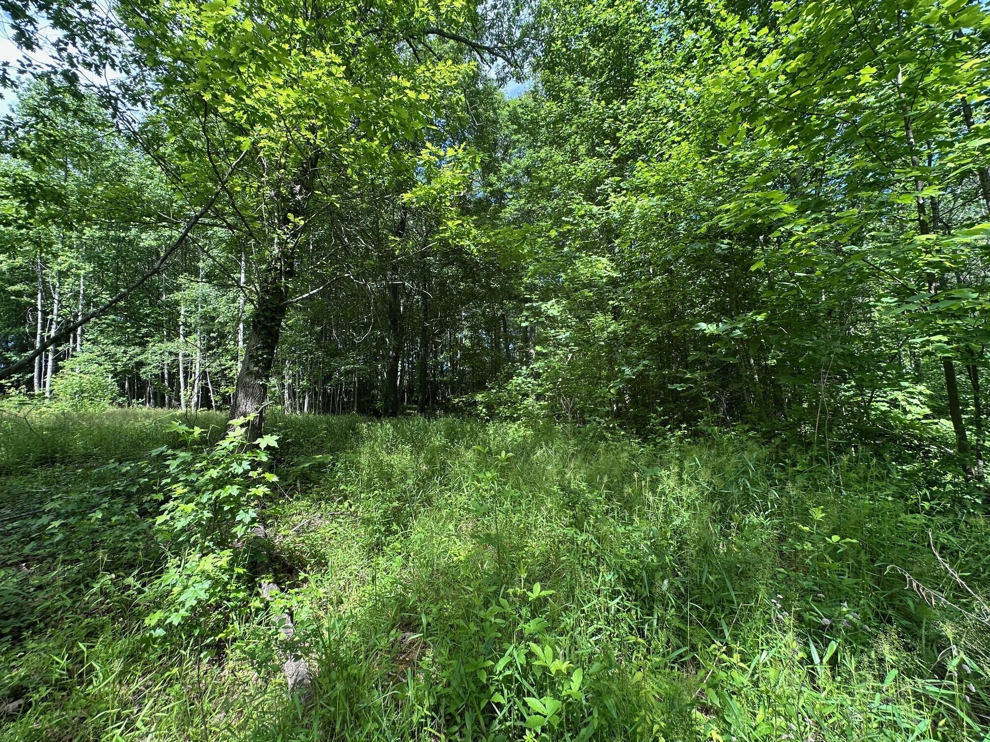 5201 Highway 150 Jasper, TN 37347 - Photo 14 of 21 7