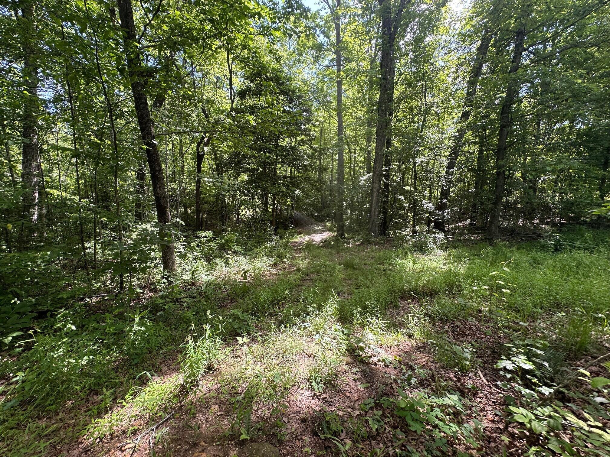 5201 Highway 150 Jasper, TN 37347 - Photo 15 of 21 9