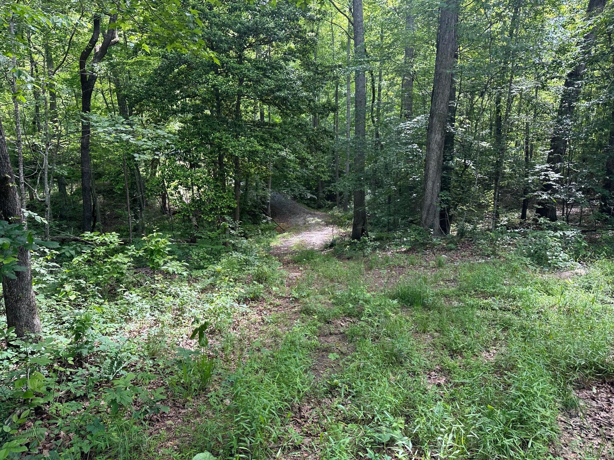 5201 Highway 150 Jasper, TN 37347 - Photo 17 of 21 2