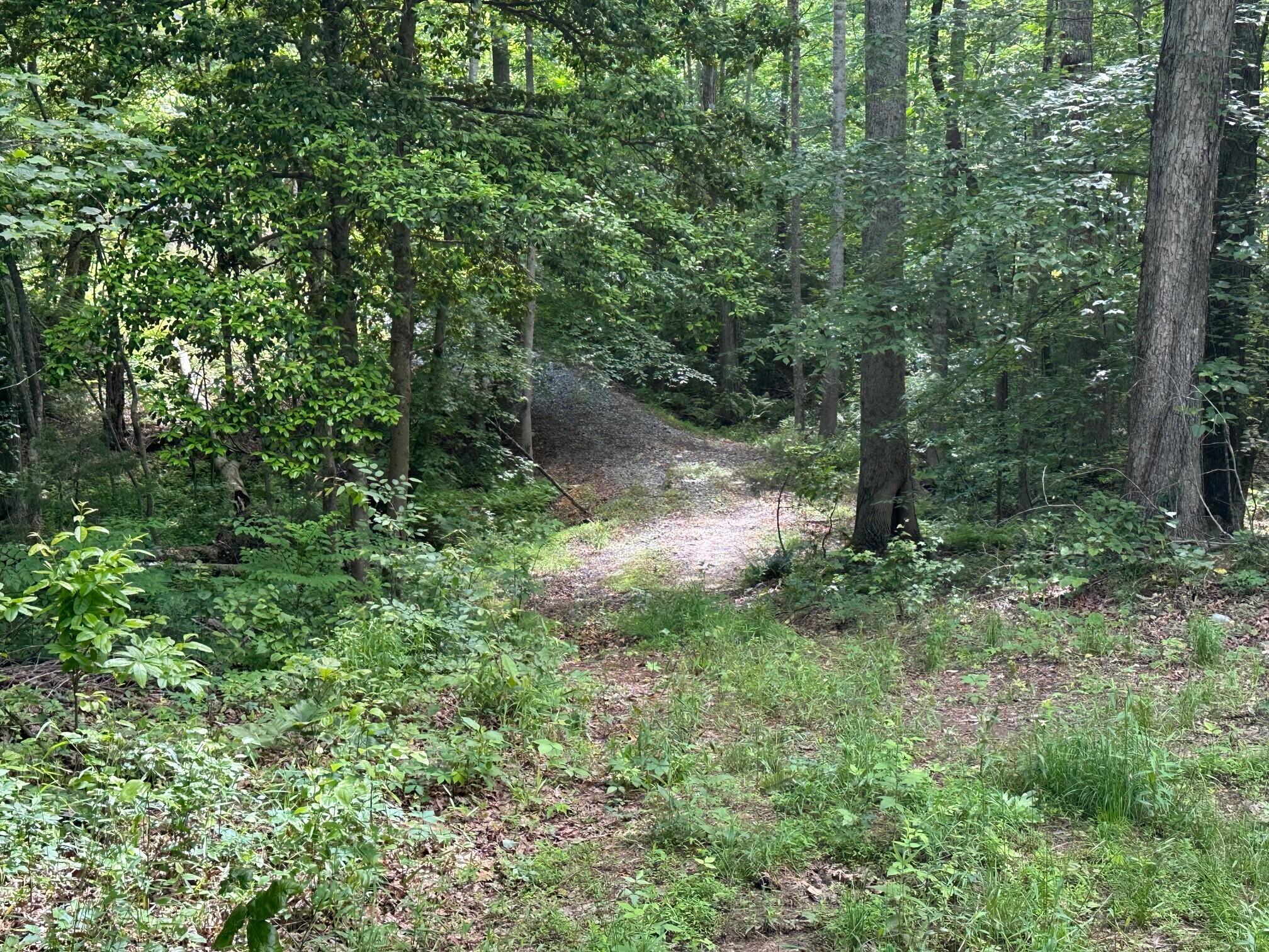 5201 Highway 150 Jasper, TN 37347 - Photo 18 of 21 3