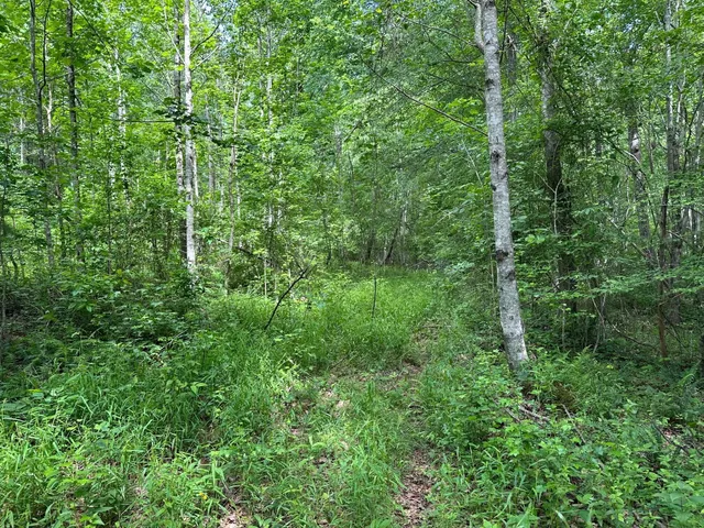 $85,000 | 5201 Highway 150, Jasper, TN 37347