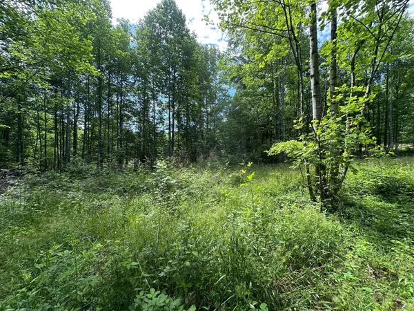 $79,000 | 5201 Highway 150, Jasper, TN 37347