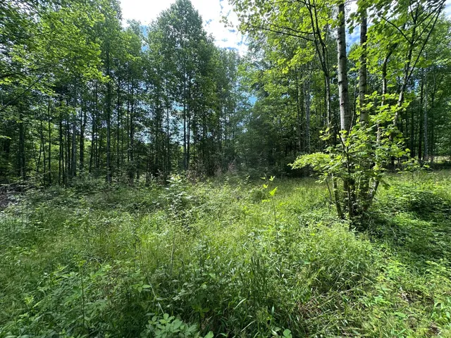 $85,000 | 5201 Highway 150, Jasper, TN 37347