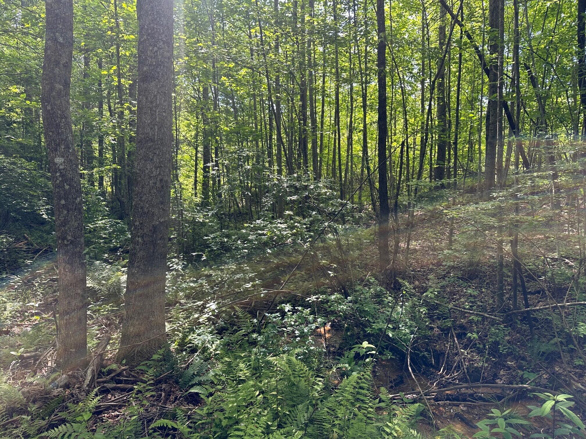 5201 Highway 150 Jasper, TN 37347 - Photo 6 of 21 18