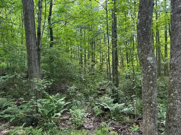 $79,000 | 5201 Highway 150, Jasper, TN 37347