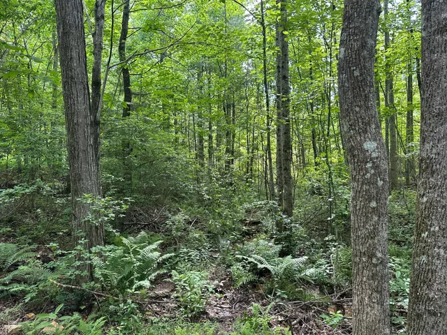 $85,000 | 5201 Highway 150, Jasper, TN 37347