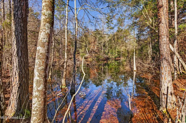 $95,000 | 110 Bobwhite Lane, Lucedale, MS 39452