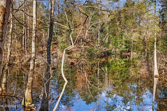 $95,000 | 110 Bobwhite Lane, Lucedale, MS 39452