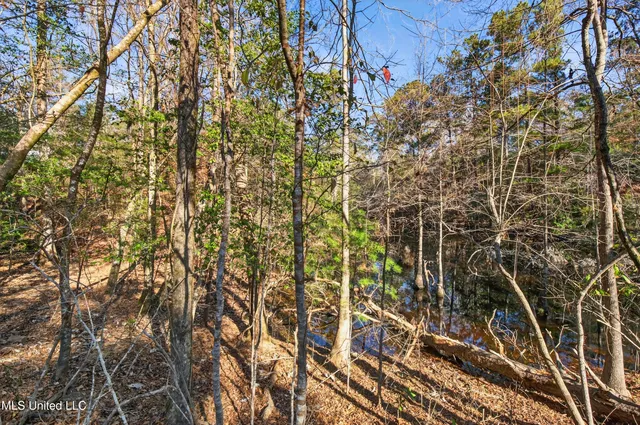 $95,000 | 110 Bobwhite Lane, Lucedale, MS 39452