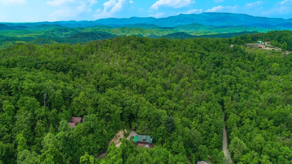 0 Acres Cosby, TN 37722 - Photo 7 of 28 Gallery Image 7