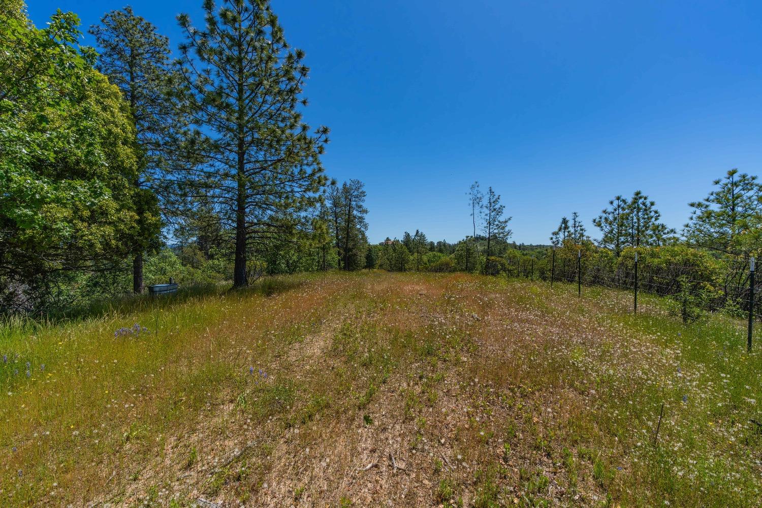 12377 Twin Pines Road Sutter Creek, CA 95685 - Photo 12 of 57