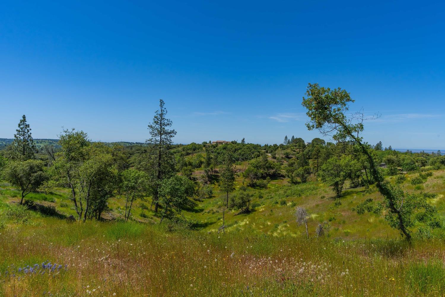12377 Twin Pines Road Sutter Creek, CA 95685 - Photo 17 of 57