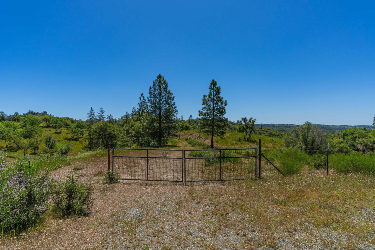 12377 Twin Pines Road Sutter Creek, CA 95685 - Photo 27 of 57