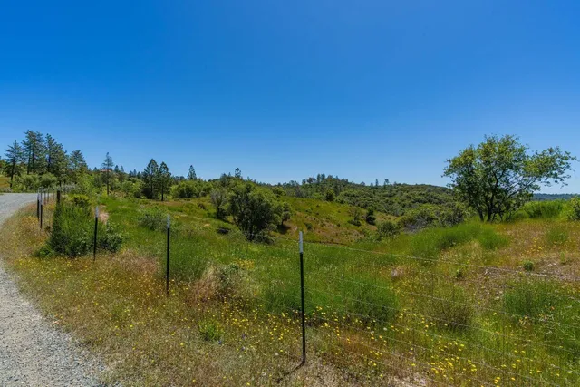a view of a yard with a tree
