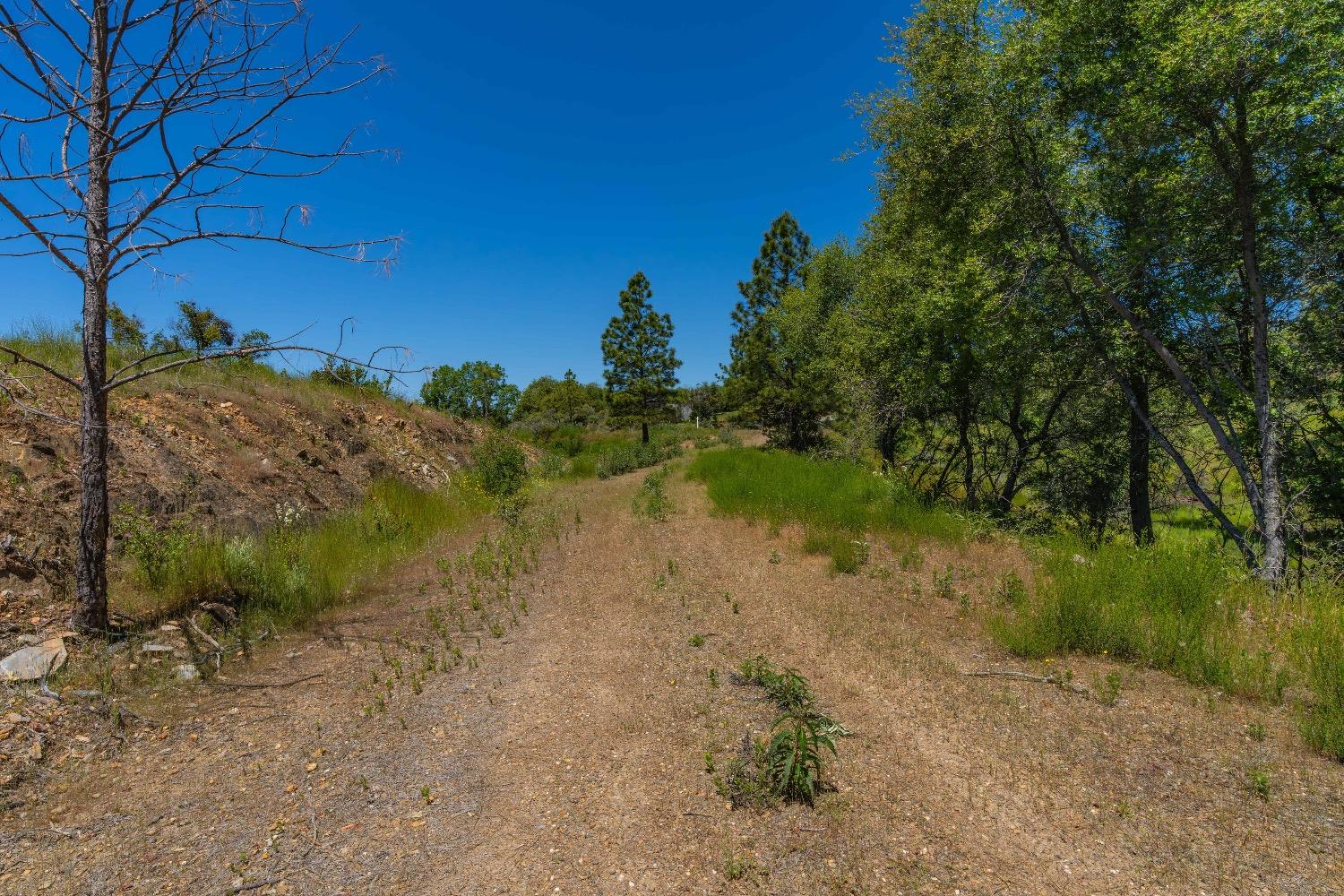12377 Twin Pines Road Sutter Creek, CA 95685 - Photo 29 of 57