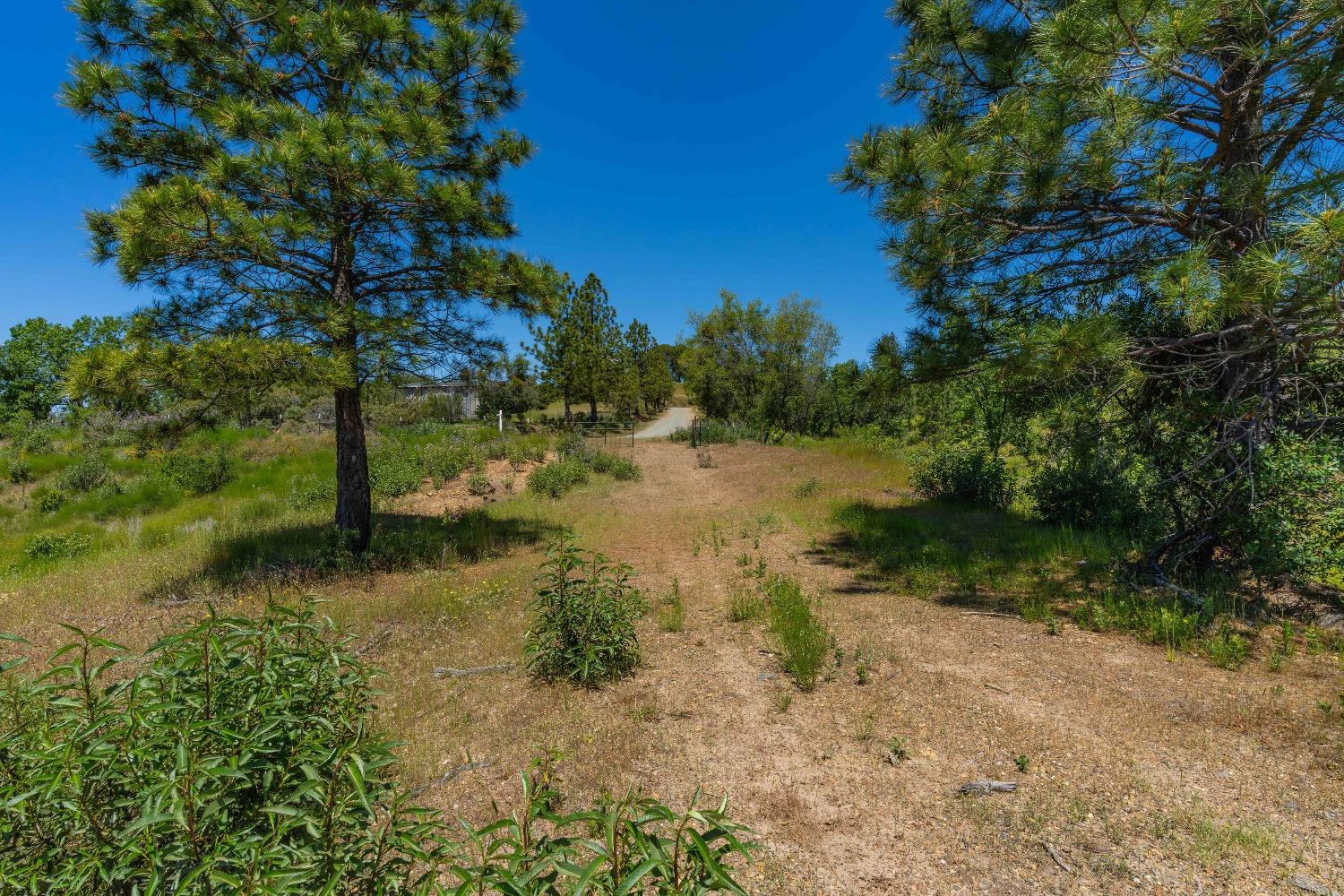 12377 Twin Pines Road Sutter Creek, CA 95685 - Photo 31 of 57