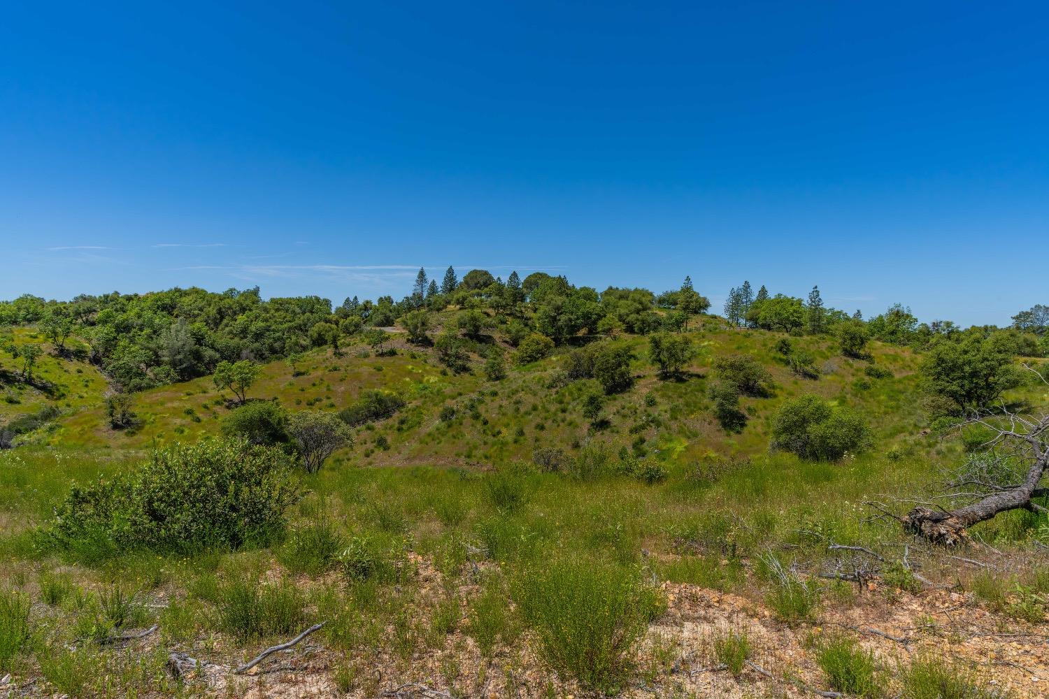 12377 Twin Pines Road Sutter Creek, CA 95685 - Photo 33 of 57
