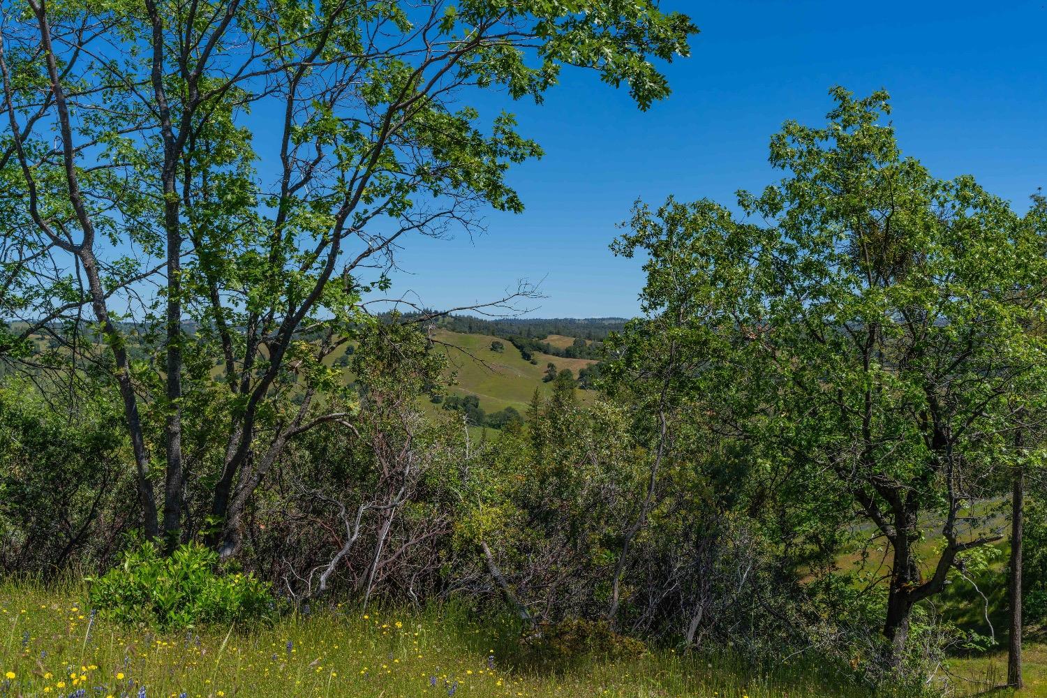 12377 Twin Pines Road Sutter Creek, CA 95685 - Photo 4 of 57
