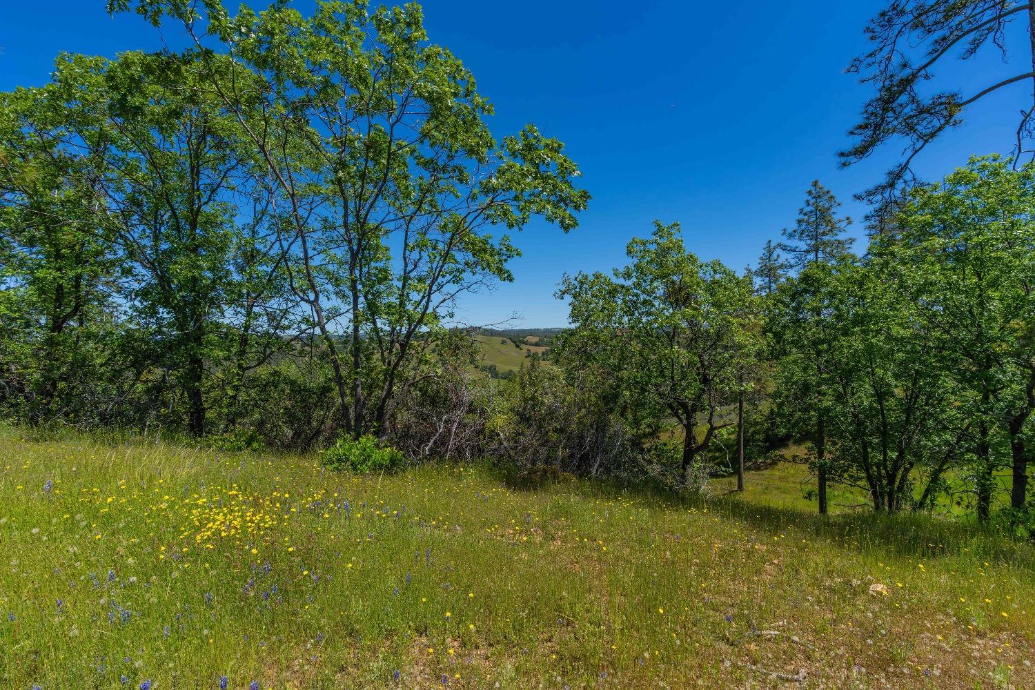 12377 Twin Pines Road Sutter Creek, CA 95685 - Photo 5 of 57