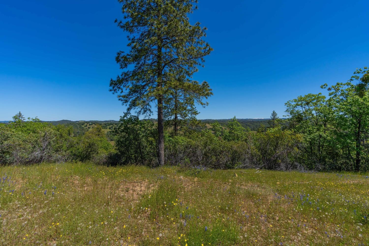 12377 Twin Pines Road Sutter Creek, CA 95685 - Photo 7 of 57