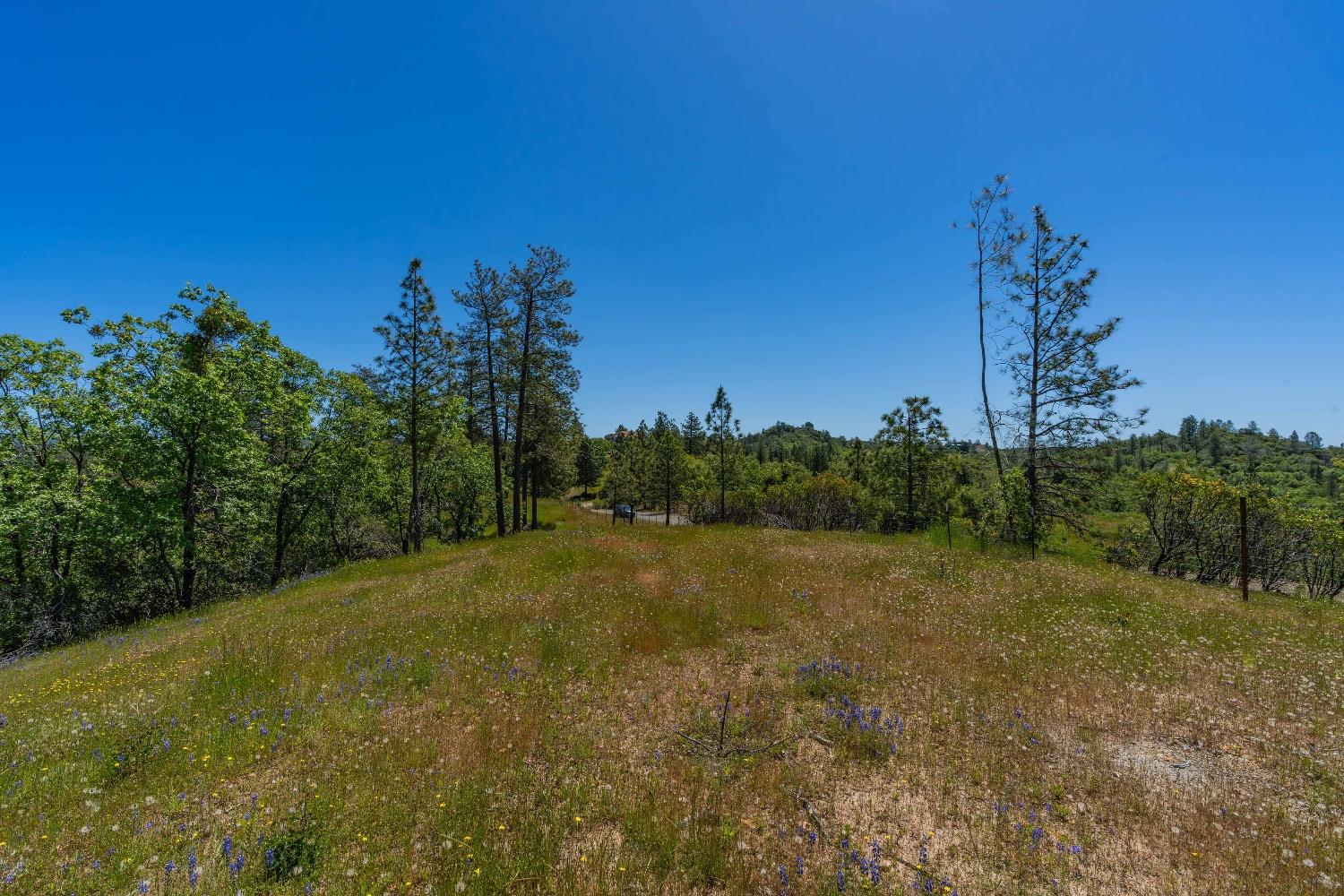 12377 Twin Pines Road Sutter Creek, CA 95685 - Photo 8 of 57
