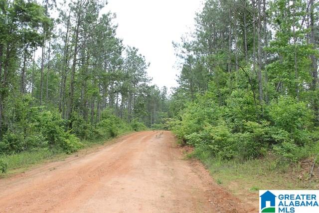 Bill Price Road, Unit 78 Dadeville, AL 36853 - Photo 2 of 7