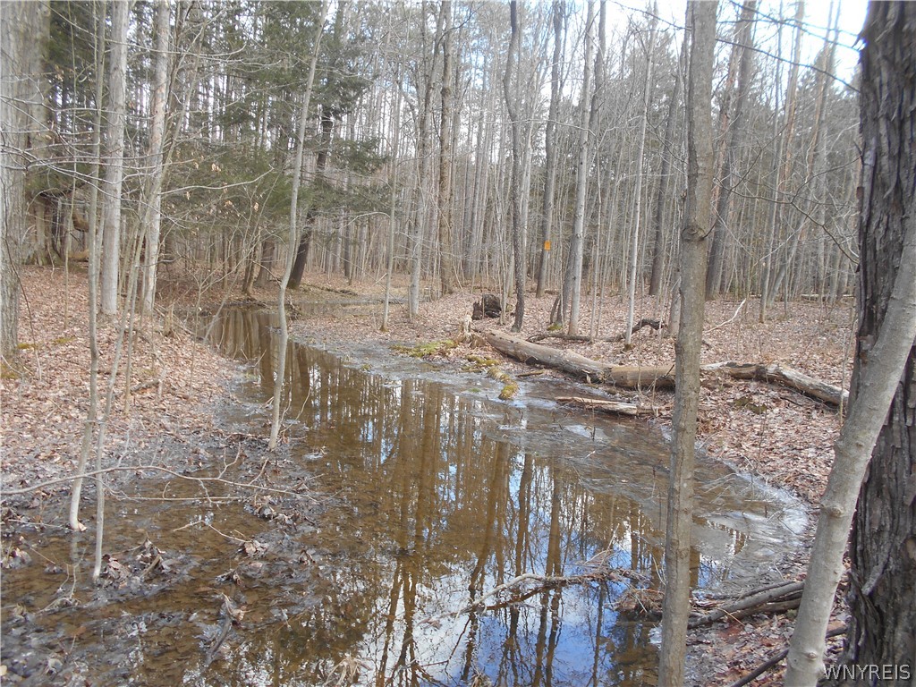 0 Genesee Road Lawtons, NY 14091 - Photo 28 of 34