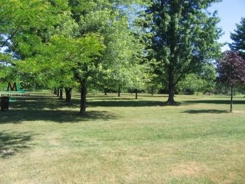 11480 Speaker Road Yale, MI 48097 - Photo 7 of 8 551964-6.JPG