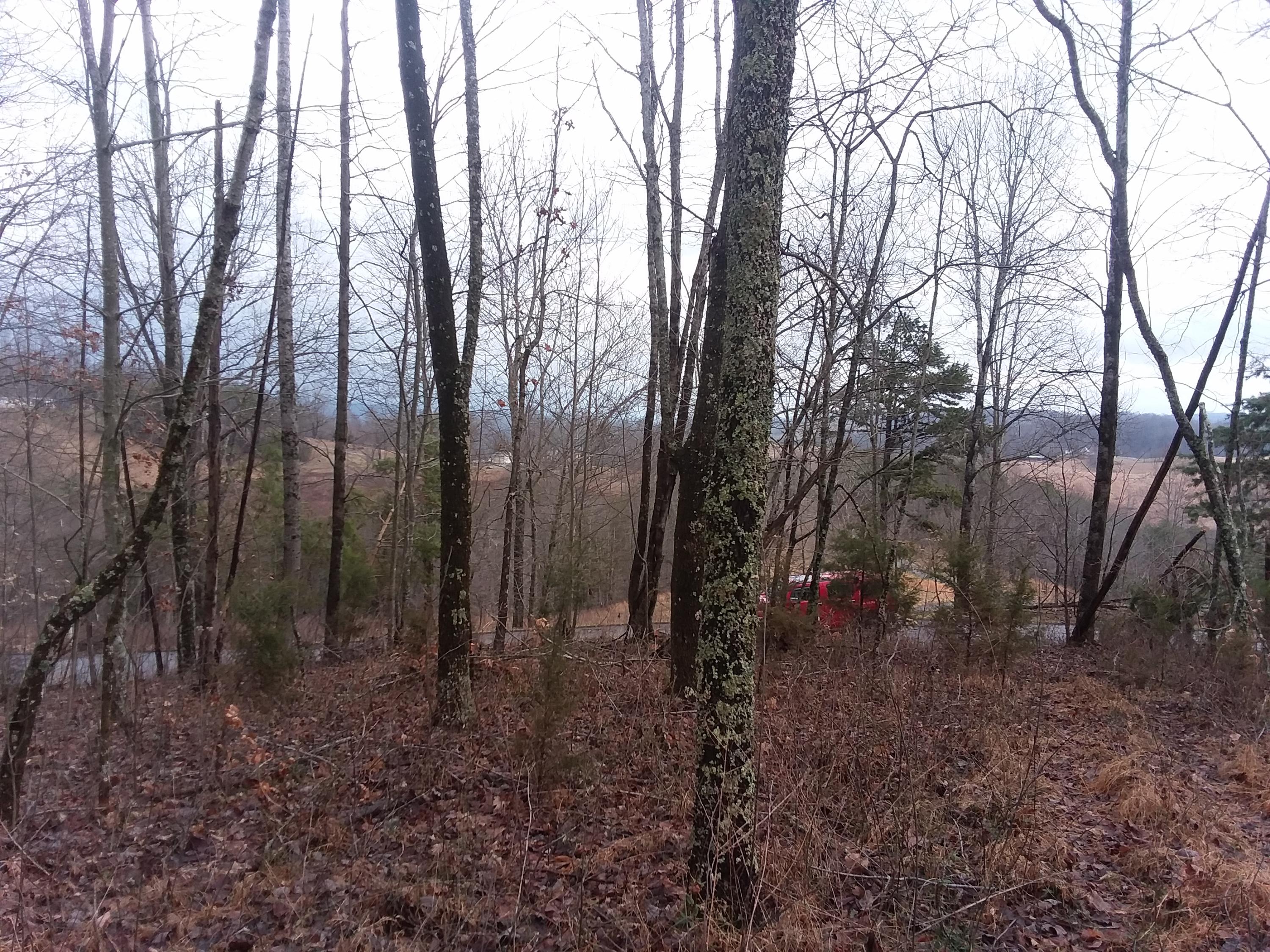 0 Eagle Ridge Sneedville, TN 37869 - Photo 8 of 10 20190207_103134