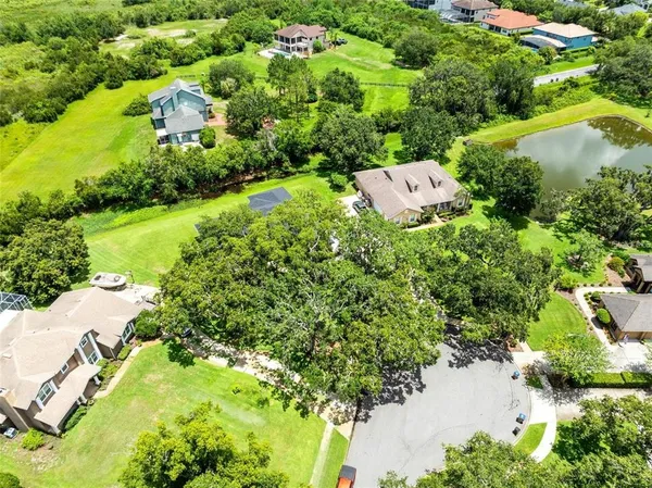 a view of a backyard with plants and large trees