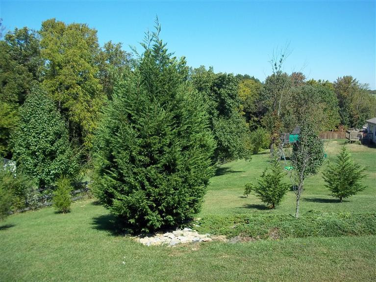 792 Hogrefe Road Independence, KY 41051 - Photo 13 of 26 Gallery Image 13