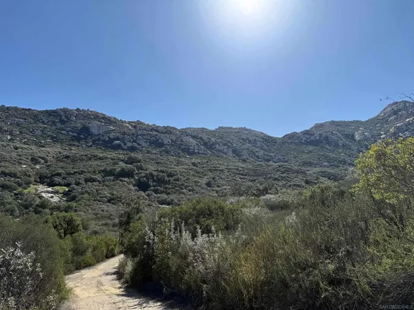a view of a mountain range with trees in the background