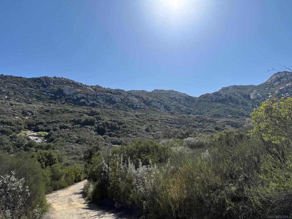 0 Wildcat Canyon Road Lakeside, CA 92040 - Photo 11 of 19 a view of a mountain range with trees in the background