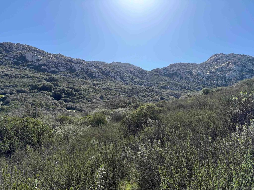 0 Wildcat Canyon Road Lakeside, CA 92040 - Photo 12 of 19 a view of a mountain range in a field