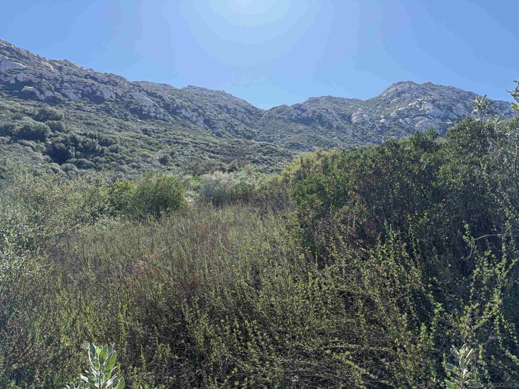 0 Wildcat Canyon Road Lakeside, CA 92040 - Photo 14 of 19 a view of a mountains in the background