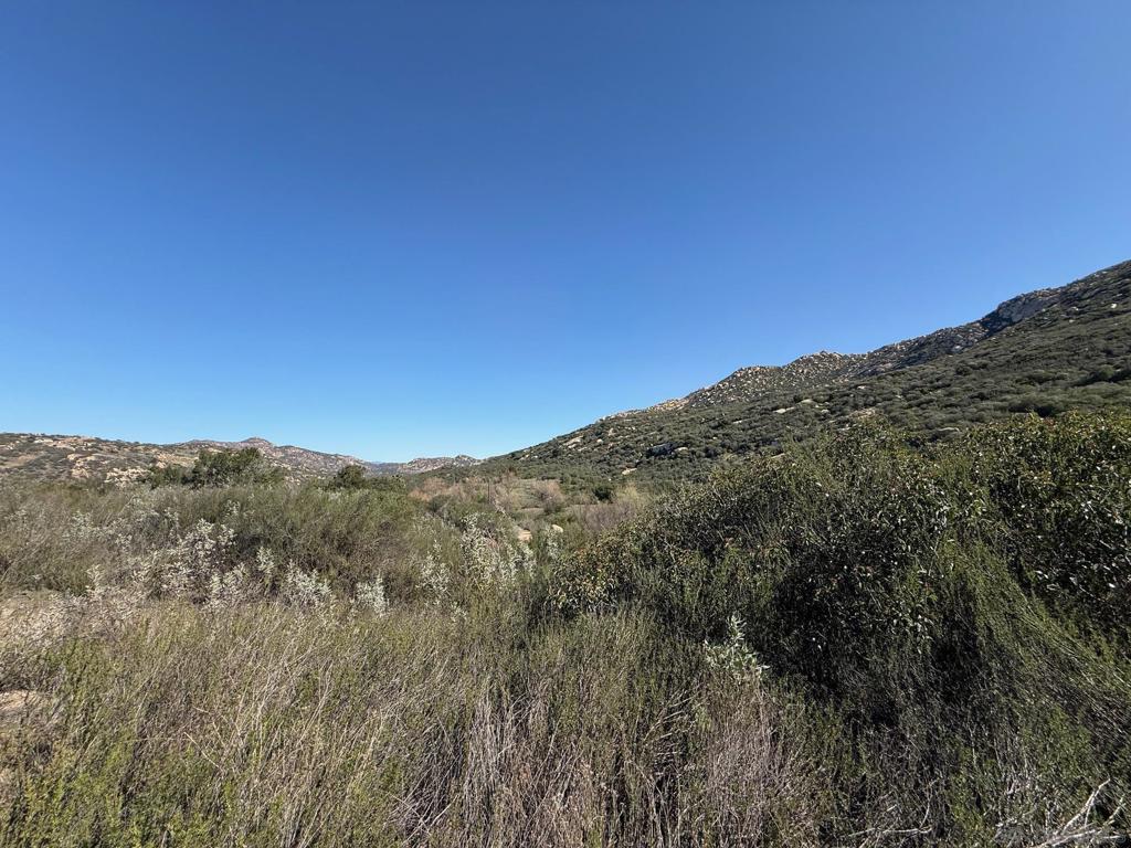0 Wildcat Canyon Road Lakeside, CA 92040 - Photo 16 of 19 a view of a mountain