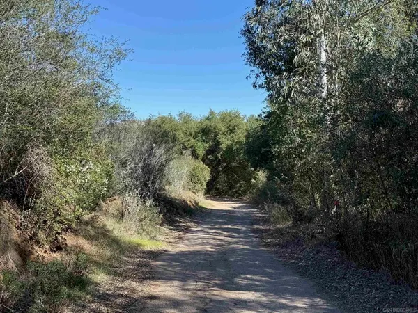 a big yard with lots of green space
