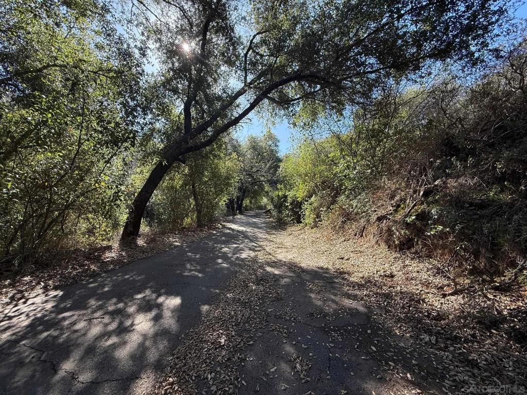 0 Wildcat Canyon Road Lakeside, CA 92040 - Photo 7 of 19 a view of a forest with trees in the background