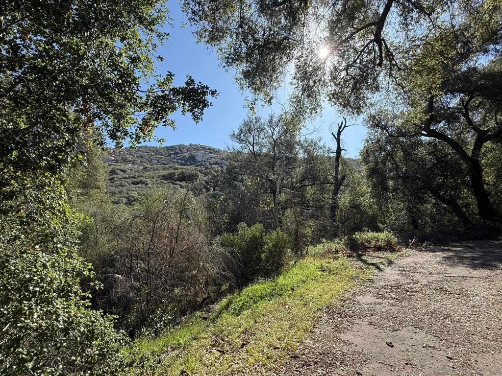 0 Wildcat Canyon Road Lakeside, CA 92040 - Photo 9 of 19 a view of outdoor space and yard