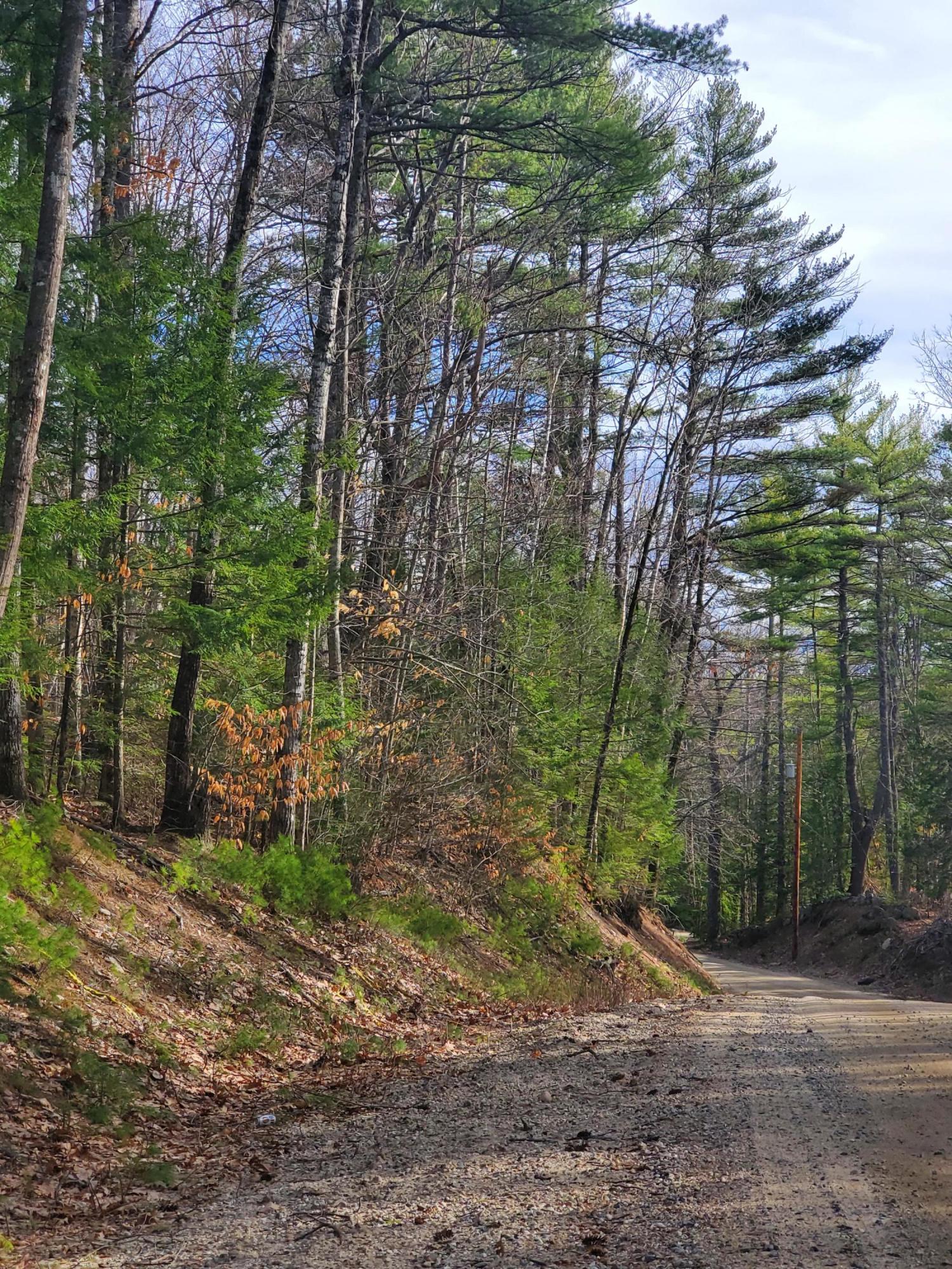 6 Lost Mile Road Parsonsfield, ME 04047 - Photo 1 of 3 20210406_170117