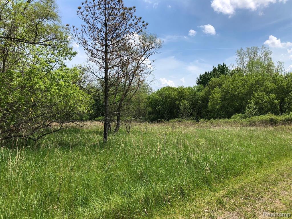 Vl Brower Road Fowlerville, MI 48836 - Photo 3 of 3