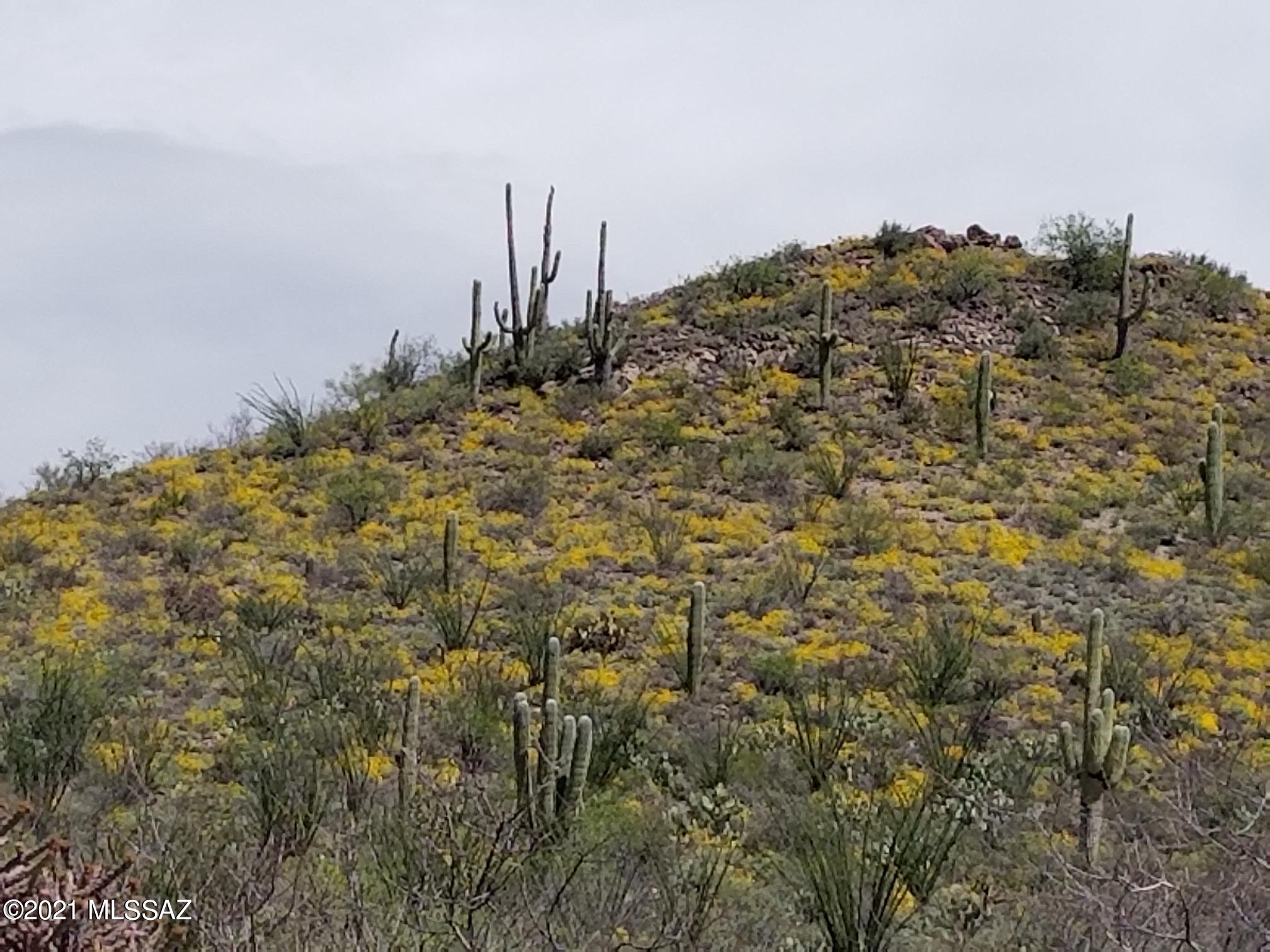 6802 East Colossal Cave Road South Vail, AZ 85641 - Photo 10 of 12